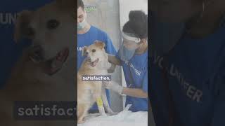 Tech Investment And Roi 