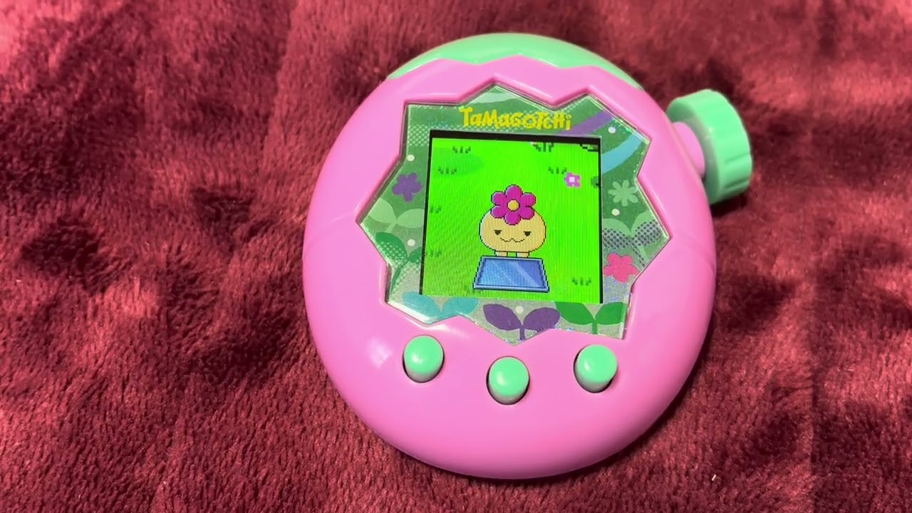 仏のたっくん、たまごっちを育てています。1日でこんなにいっぱい育てたのは初めて！こんなにブリードとか赤色になったり黄色になったりクレープのハットかぶったり、お空のモードになったり…楽しんでいます！