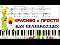 Маленький ПРИНЦ на пианино (ПРОСТО и КРАСИВО)