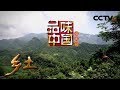 《乡土》 品味中国 重庆篇 20180614 | CCTV农业