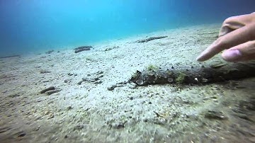 GoPro red filter test