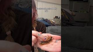 Roach Gets A Belly Rub Like A Puppy