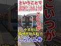 今日はこれがリゾート列車ですか？