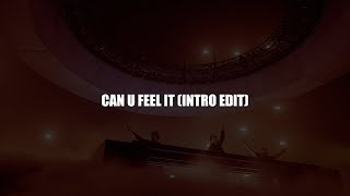 Swedish House Mafia - Can U Feel It (Intro Edit)