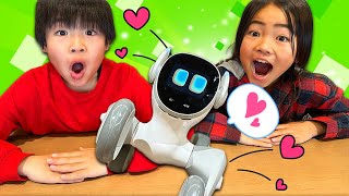 ペットロボットがお家にやってきた！歌って踊れる可愛い子犬みたいなロボット？！　寸劇　かえであーたん　Kaede and Ahtan Play with Loona