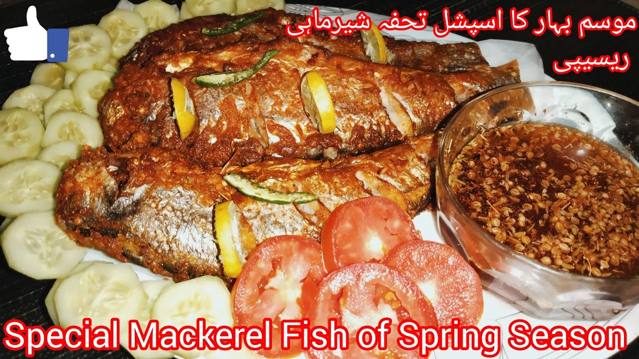 Mackerel Fishشیر ماہی فیش ریسیپی tasty mackerel Recipe YouTube
