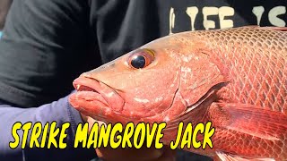 Menaklukkan Mangrove Jack Di Muara Desa Terang | MANCING MANIA STRIKE BACK (12/05/24) Part 1