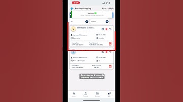 How to Create Split Invoices & Share Payments in Moneyseel App | Split Screen Tutorial