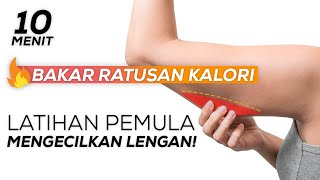 Cara Ampuh Mengecilkan Lengan Bakar Lemak Bergelambir  Olahraga Dirumah