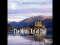 Various artists  the mystic art of chill vol1 manifold records full album