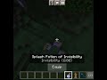Minecraft Tik Tok hack #shorts #viral