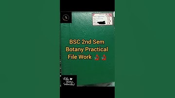 CCS University Meerut BSC 2nd Sem Botany Practical File Work :- Sphagnum ( Peat Moss Or Bog Moss) 🔬🔬