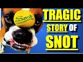 The tragic history of snot  lynn strait version 20