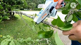 STIHL mini chainsaw GTA-26 battery powered garden pruner