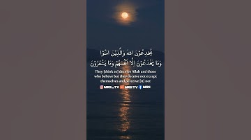 ماهر المعيقلي - سورة البقرة ( برواية حفص عن عاصم ) الأية 6-10