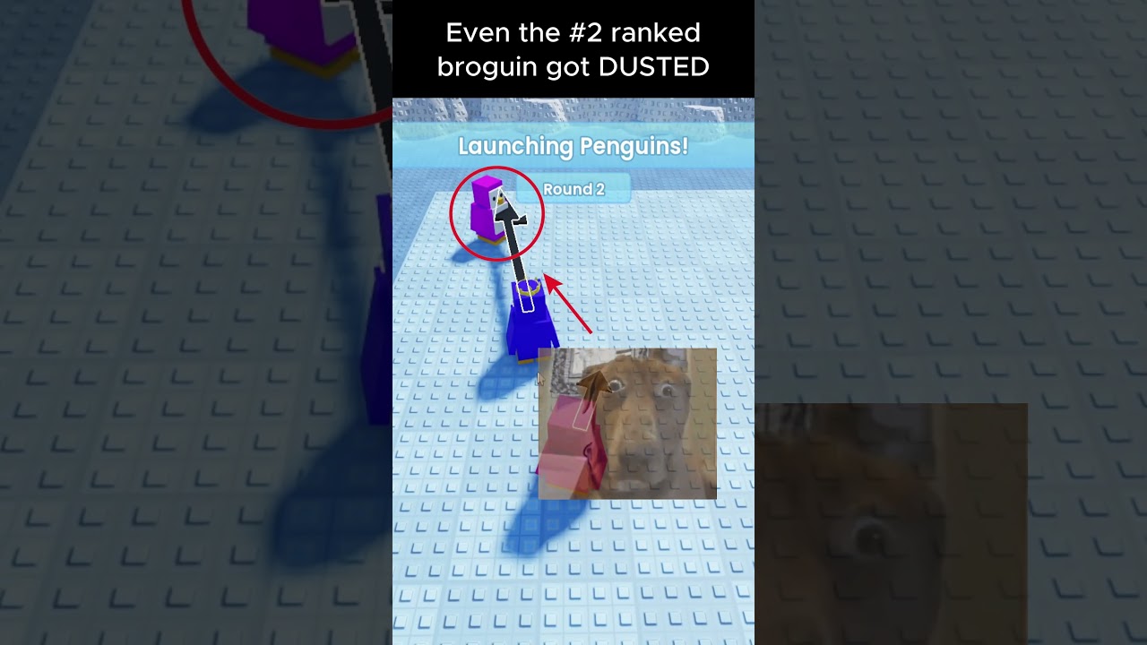 The top broguins can't handle the heat 😌 