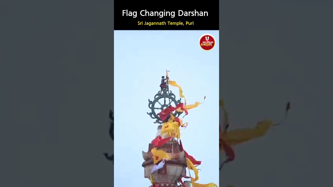 Today's Flag Changing DIVINE Darshan of Shri Jagannath 🙏💞✨