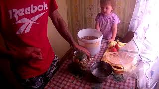 Как засолить грибы? Солим бычки (валуи) Как засолить грибы? Солим бычки (валуи)