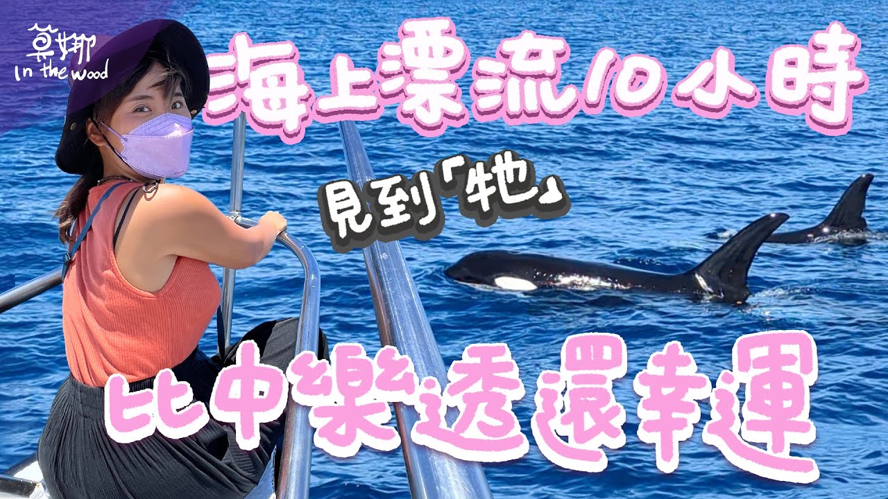 宜蘭龜山島賞鯨~被300隻海豚包圍，賞絕美Tiffany藍牛奶海☆哪哪麻☆