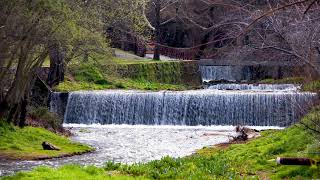 Calming Cascade Waterfall and River. Relaxing Nature Sounds - Waterfall. White Noise for Sleeping.