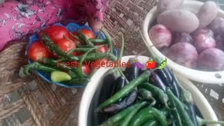 Fresh Vegetables 🍆🍅🫛 / Noor Zeb Vlogs