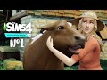 The Sims 4 Загородная жизнь #1 Фермерская жизнь, дружба с лисой