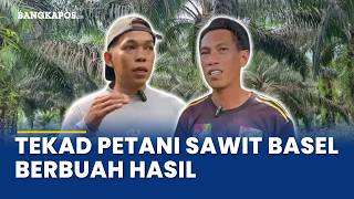 Dari Jual Motor hingga Panen Sawit, Perjuangan Petani Bangka Selatan Berbuah Hasil