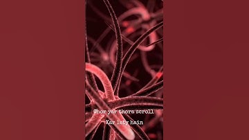 Why We Procrastinate -- And One Simple Trick to Beat It!