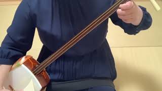 お琴カバー 三味線 胡弓 三曲セット 桜川』リモート合奏しました! ♪お琴・お三味線・胡弓教室