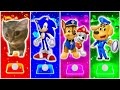 Chipi Chapa Cat 🆚 Sonic Prime 🆚 PAW Patrol 🆚 Sheriff Labrador | Who Is Best?🎯 in Tiles Hop EDM Rush🎶