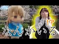 【お花見】桜の下で...あなた何してるの？