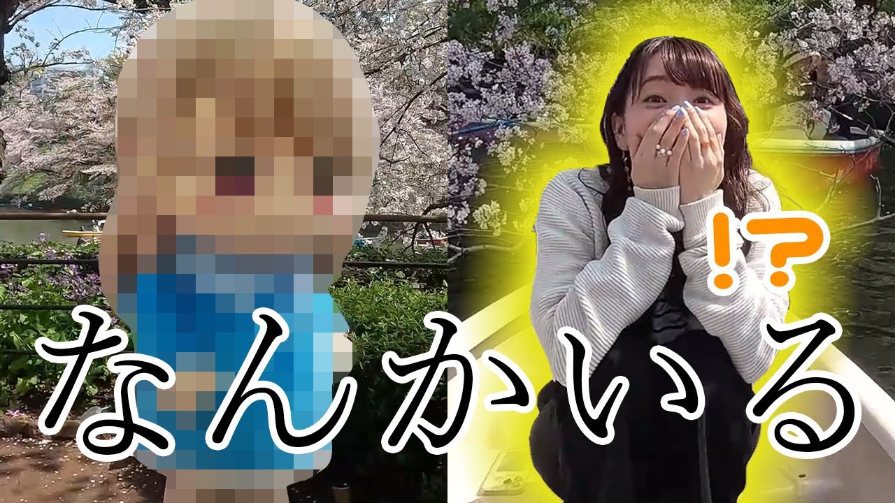 [Оцените цветы] Под вишневым деревом.  Что ты делаешь?