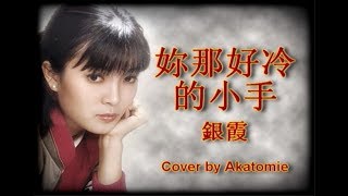 Video thumbnail of "[Instru. cover] 妳那好冷的小手 Ni na hao leng de xiao shou - 銀霞 Yin xia Cover by Akatomie"