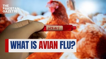 What is Avian Flu? Symptoms, Causes, and Prevention Explained