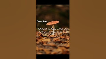 Surah Al Insaan | دل کو سکون دینے والی تلاوت | سورة الإنسان