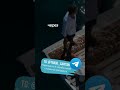 Сила в постоянстве и регулярности