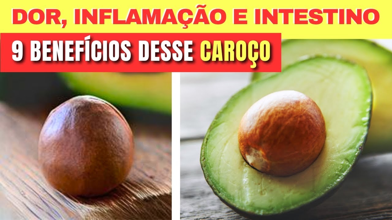 9 Benefícios do CAROÇO DE ABACATE (Dor, Inflamação, Intestino e mais ...