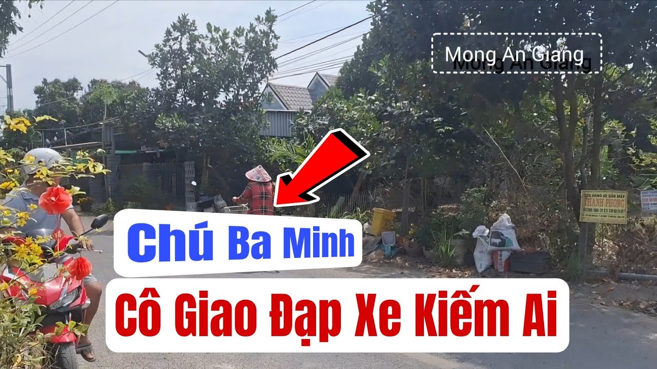Chú Ba Minh, cô Giao đạp xe đạp kiếm ai đây ta #phạmmongag #chúbaminh #côgiao 
