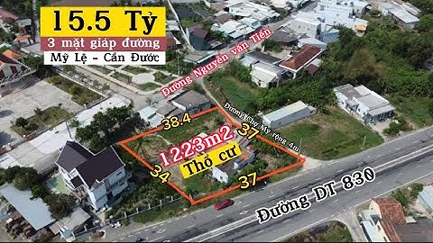 1223m2 thổ cư mặt đường DT 830 Mỹ Lệ Cần đước giá 15.5 tỷ 0968.079.561