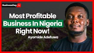 Why Agriculture Might Be Nigeria’s Most Profitable Business Right Now!