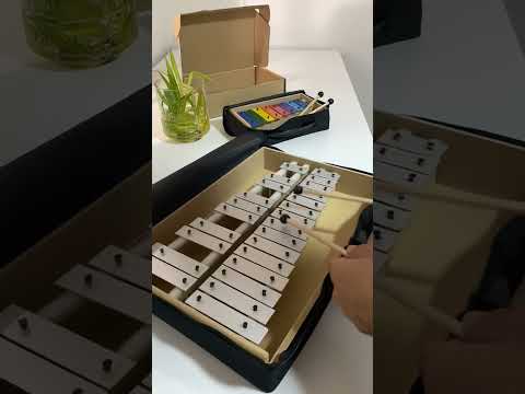 🎬 Video relacionado con metalófonos