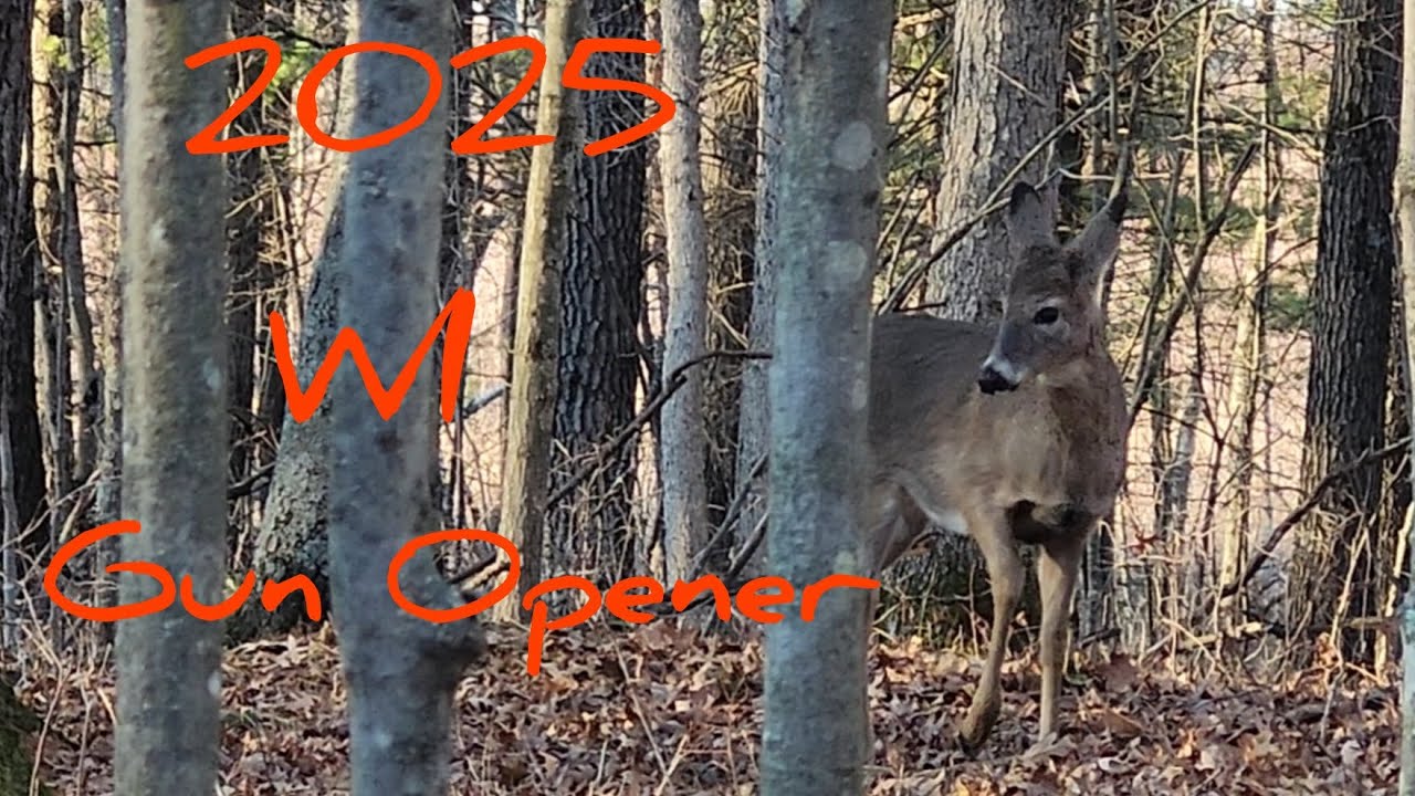 2025 WI Gun Deer Opener ( CRAZY CLOSE ACTION)