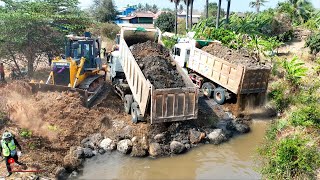 Cheerful A Starting Project! Skilled land Filling Low surface Use Shantui Dozer Mastery & 25ton Dump
