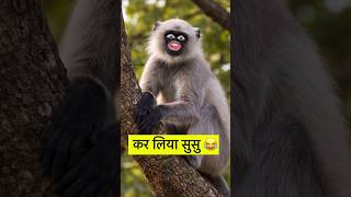 कर लिया सूसू #funny #comedy #thetharpuns #shilpisaroja