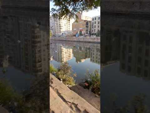 ممشى المبرةعالكورنيش بالزقازيق ماهر المعيقلي لايك Like ترند Fyp متابعه Explore قرآن Love اشتراك Tren