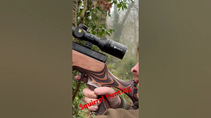 Squirrel hunting #airgunhunting #longrangehunting #airgunhunters #hunting #airgunning