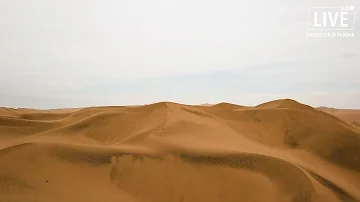Cosa si può fare per la desertificazione?