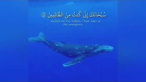 من اجمل ما سمعت  تلاوة تريح القلب #ذَا_النُّون # سورة_الانبياء الايات 87 الى 90