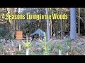 One Year in the Woods - Living in a Tent