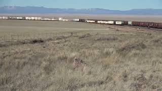 BEAUTIFUL WINDY NEW MEXICO VISTA WITH TRAINS ON BNSF CLOVIS SUB, CP-GAUNA WITH VIEW OF LUCY -1 by mijflow 828 views 2 months ago 3 minutes, 18 seconds